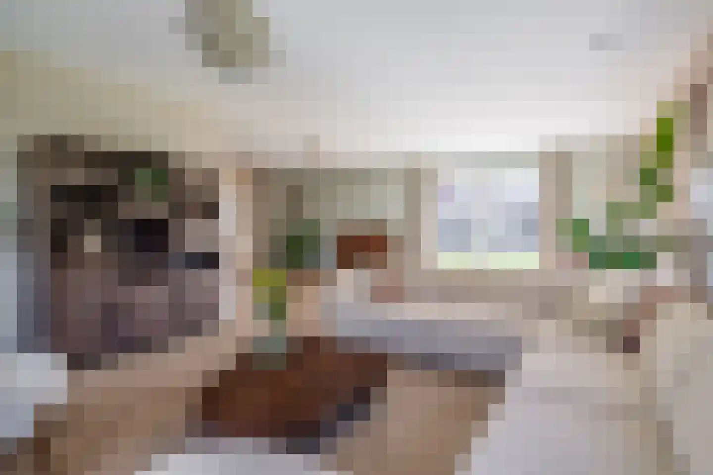 Tweede Bloksweg 38 D Waddinxveen thumbnail 9