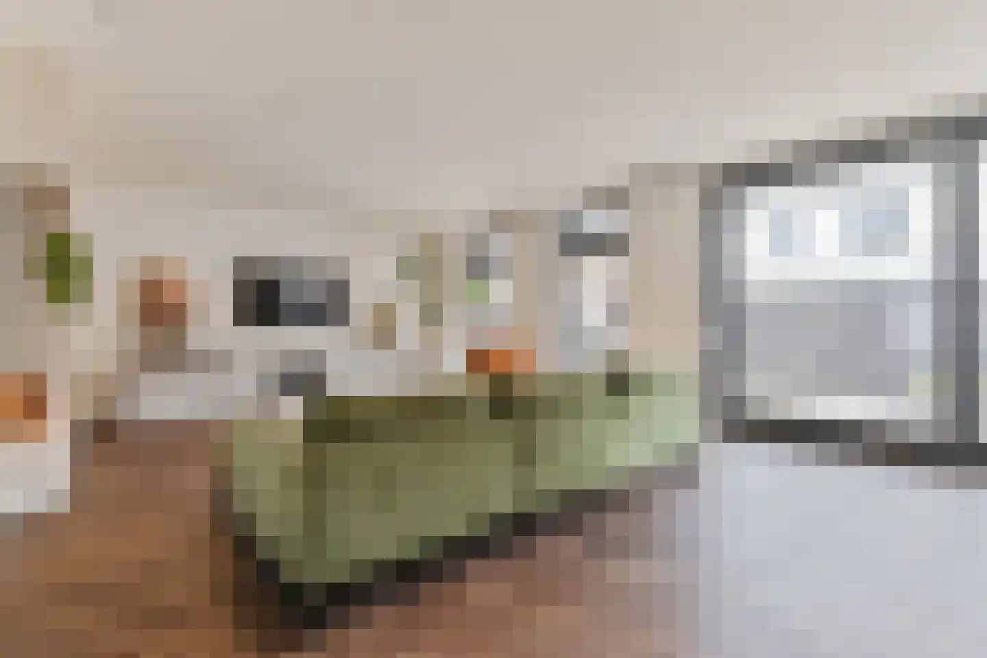 Tweede Bloksweg 38 F Waddinxveen thumbnail 13