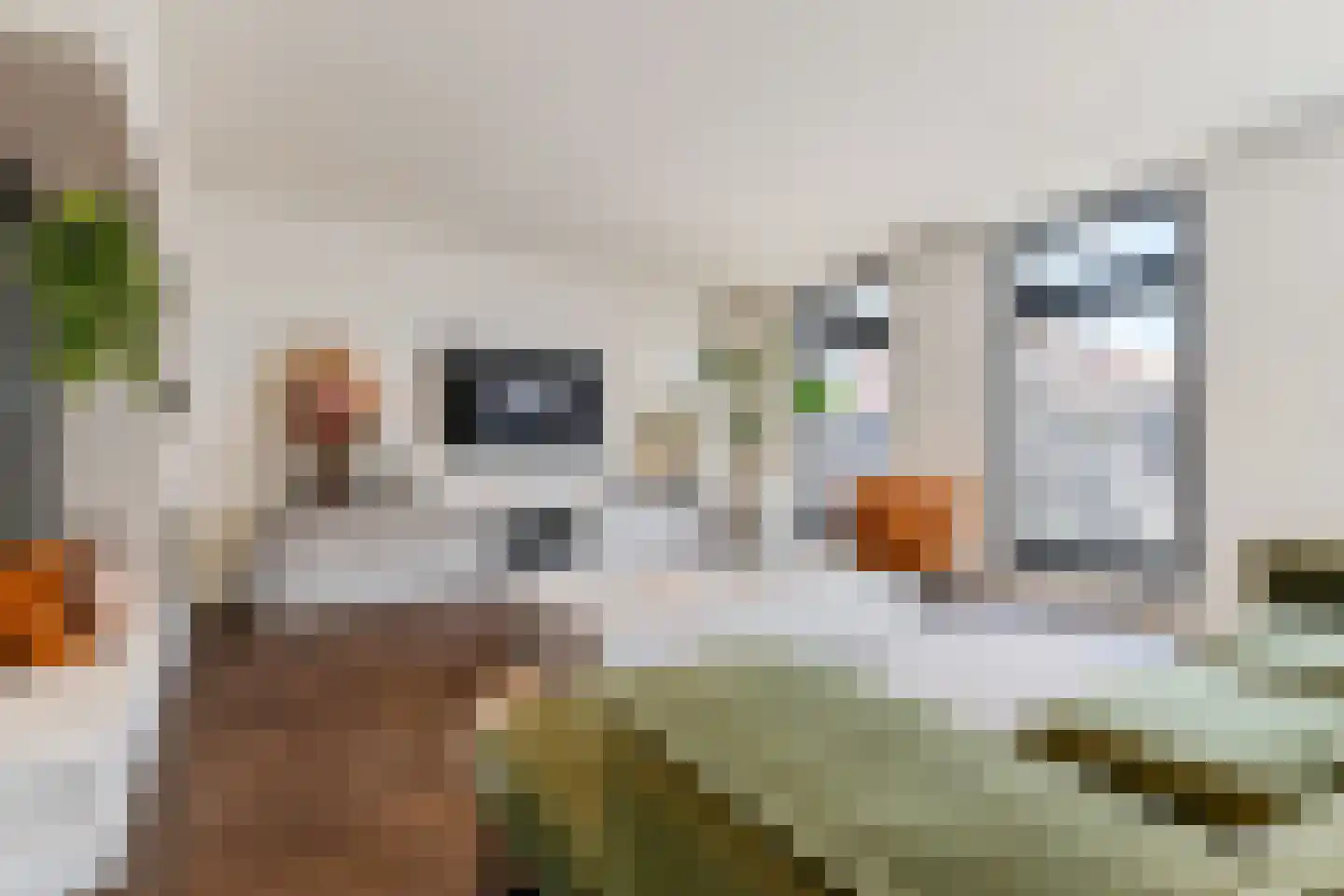 Tweede Bloksweg 38 F Waddinxveen thumbnail 14