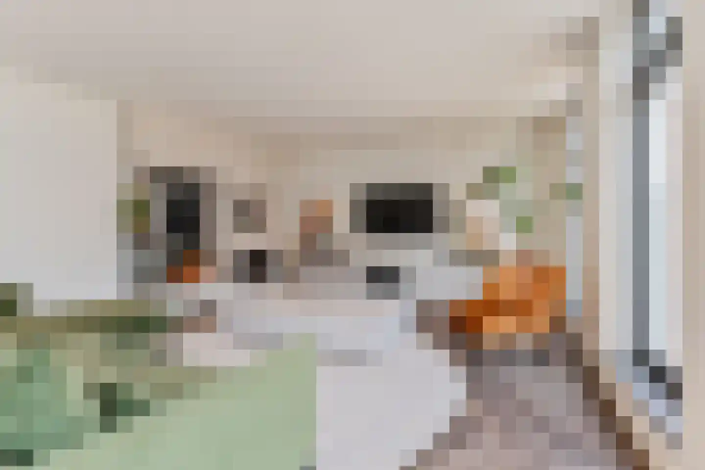 Tweede Bloksweg 38 F Waddinxveen thumbnail 15