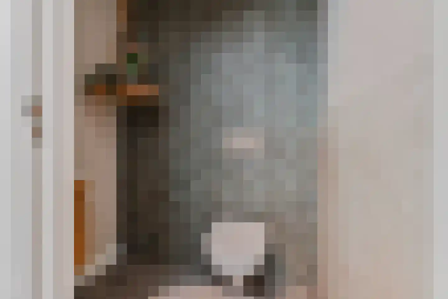 Tweede Bloksweg 38 F Waddinxveen thumbnail 33
