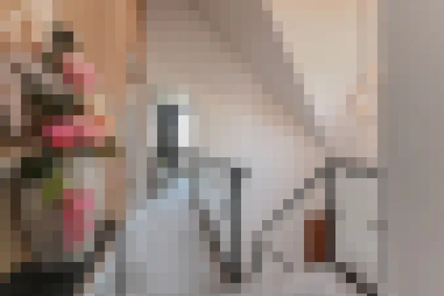Tweede Bloksweg 38 F Waddinxveen thumbnail 37
