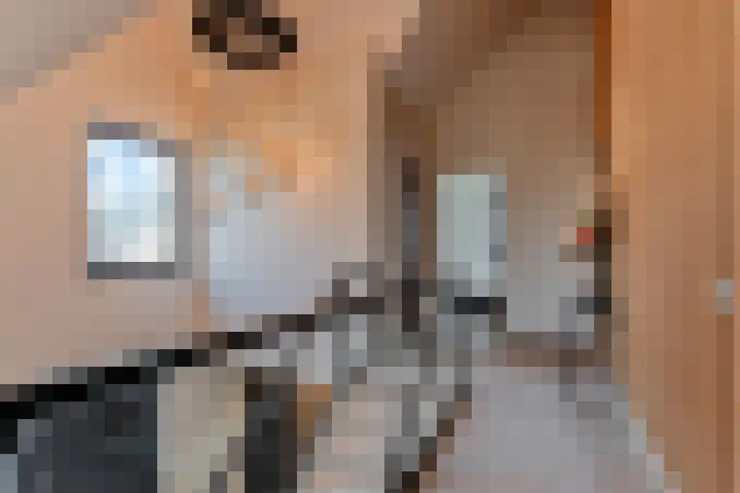 Tweede Bloksweg 38 F Waddinxveen thumbnail 39