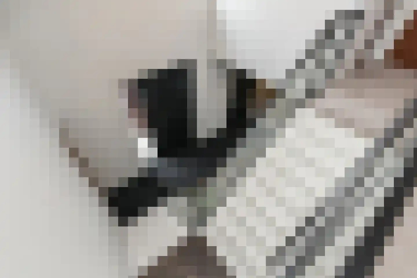 Tweede Bloksweg 38 F Waddinxveen thumbnail 45