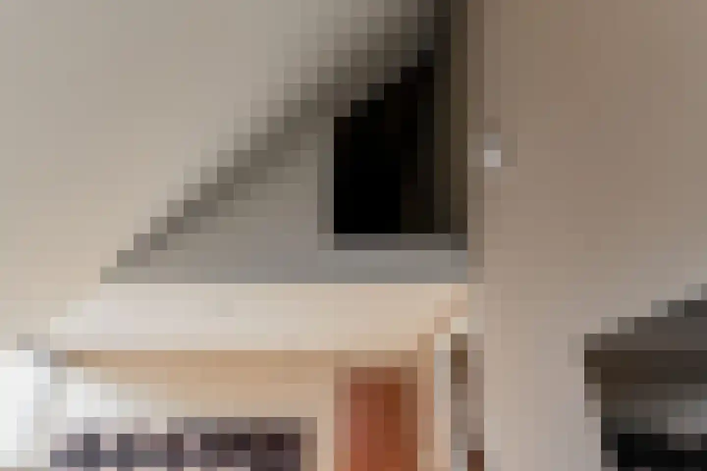 Tweede Bloksweg 38 F Waddinxveen thumbnail 45