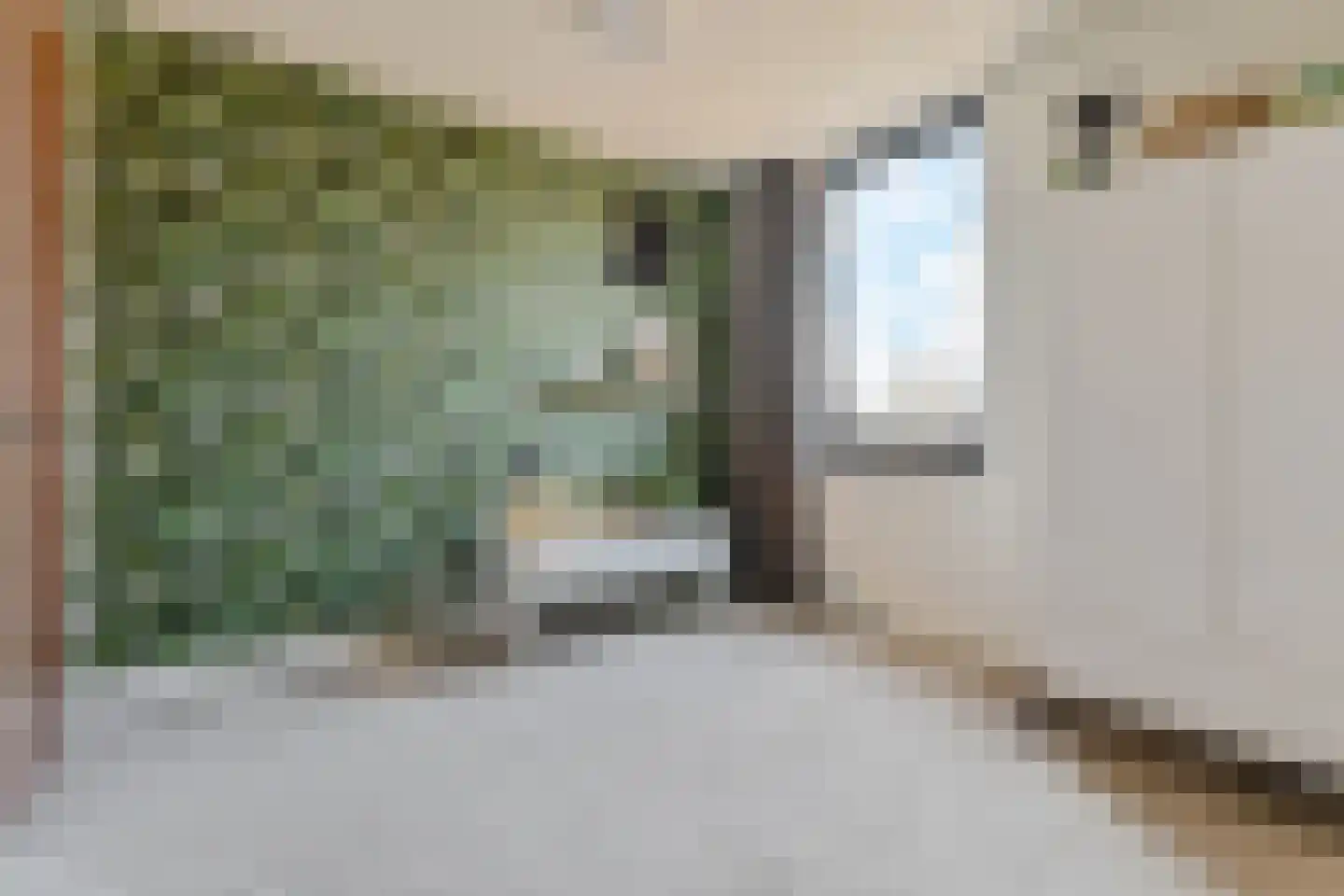 Tweede Bloksweg 38 F Waddinxveen thumbnail 53