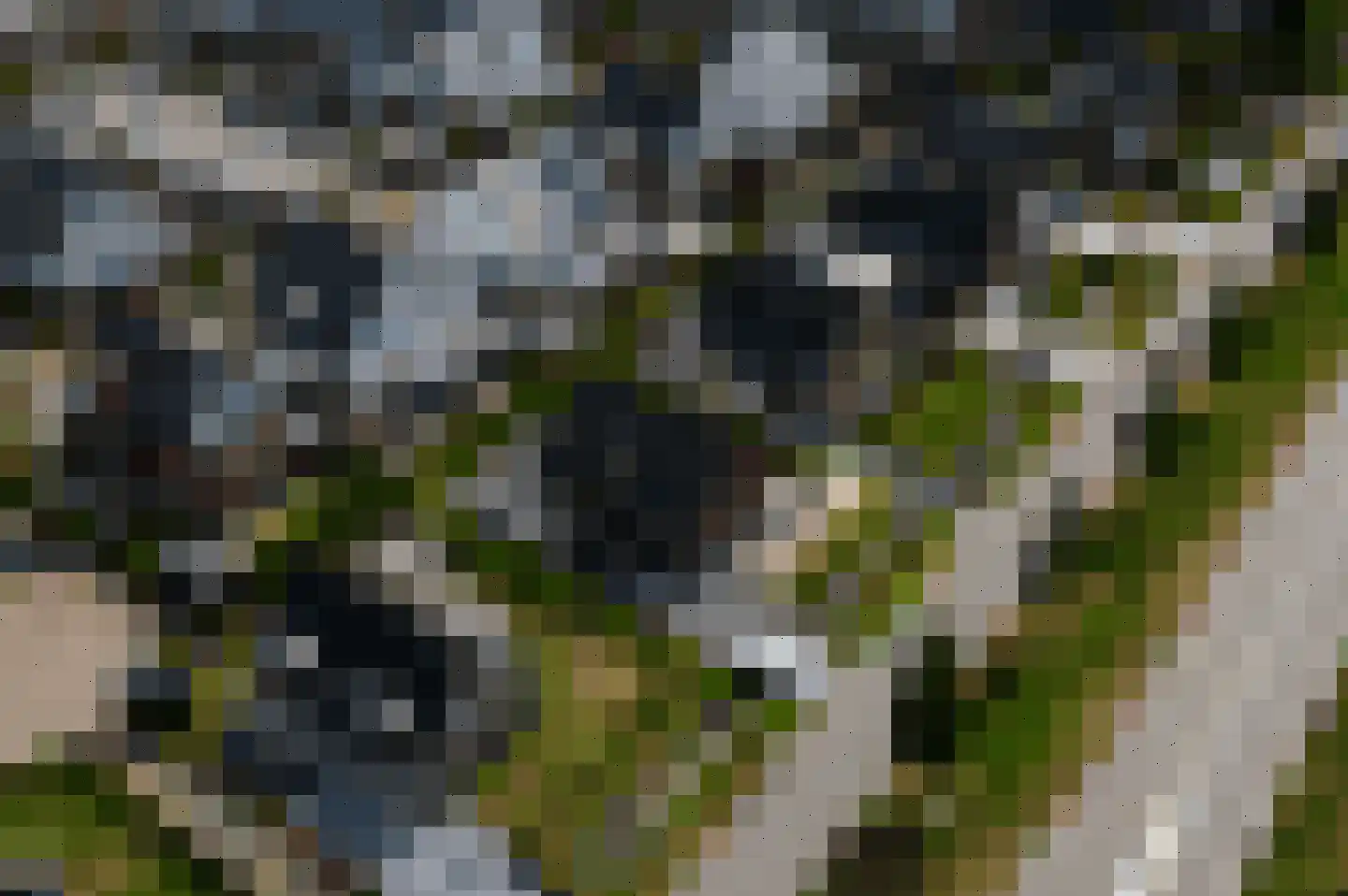 Tweede Bloksweg 38 F Waddinxveen thumbnail 6