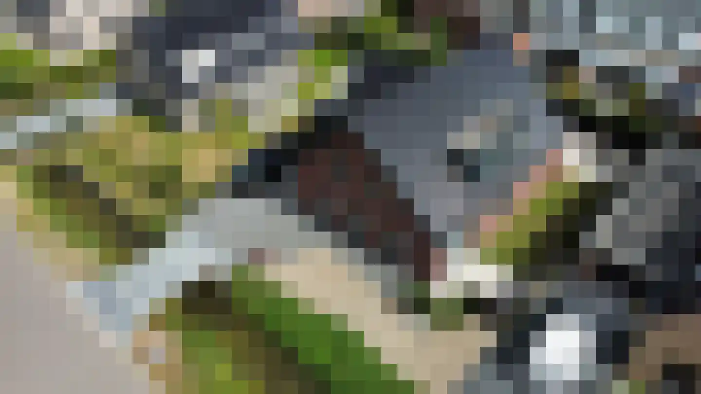 Tweede Bloksweg 38 F Waddinxveen thumbnail 7