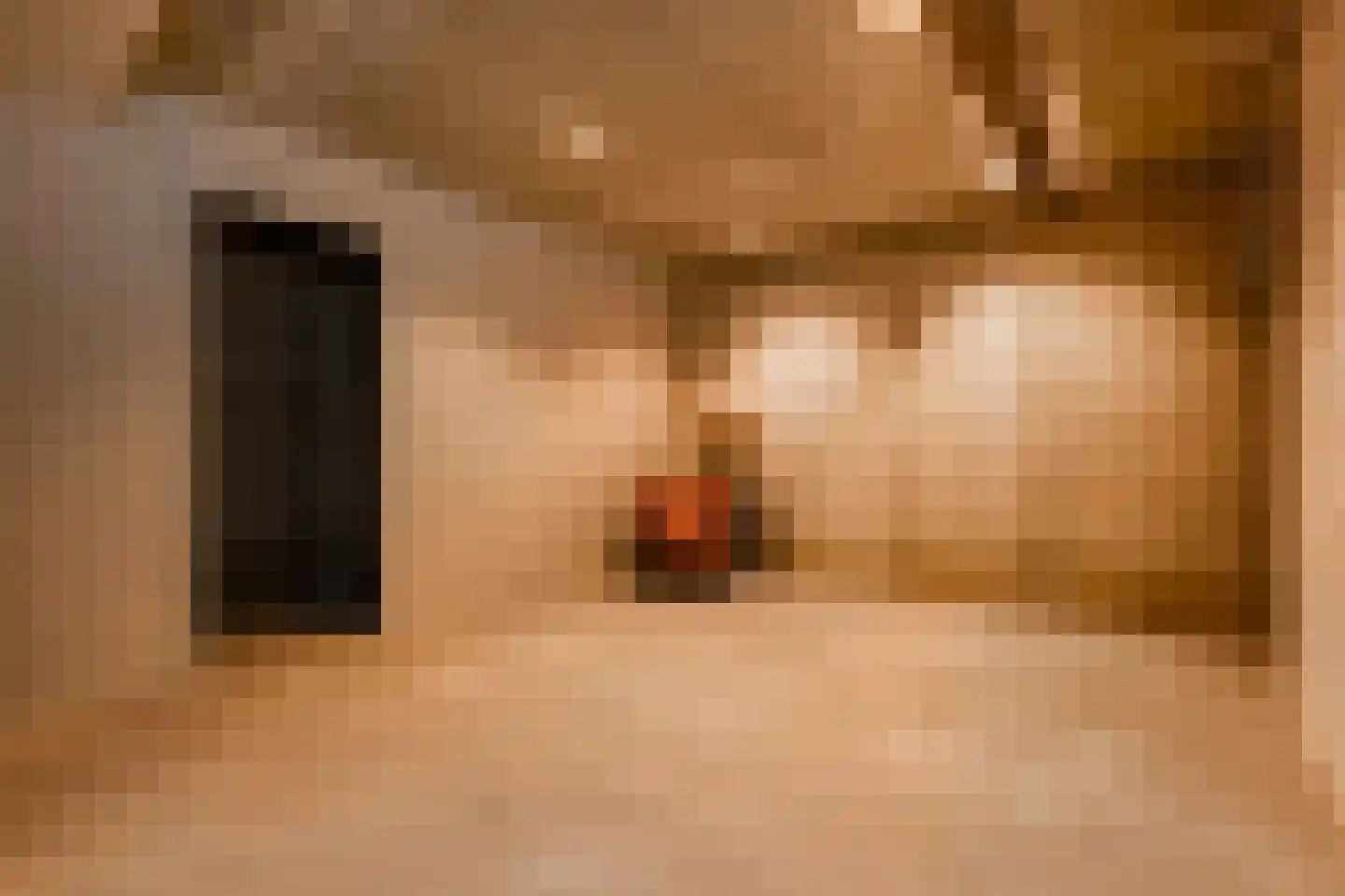 Tweede Bloksweg 38 F Waddinxveen thumbnail 87