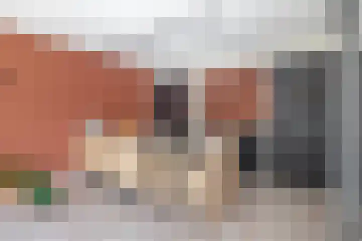 Tweede Bloksweg 38 G Waddinxveen thumbnail 24