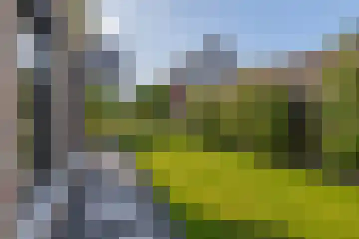 Tweede Bloksweg 38 G Waddinxveen thumbnail 35