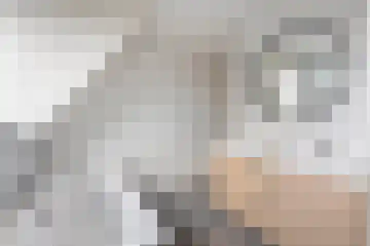 Tweede Bloksweg 38 G Waddinxveen thumbnail 44