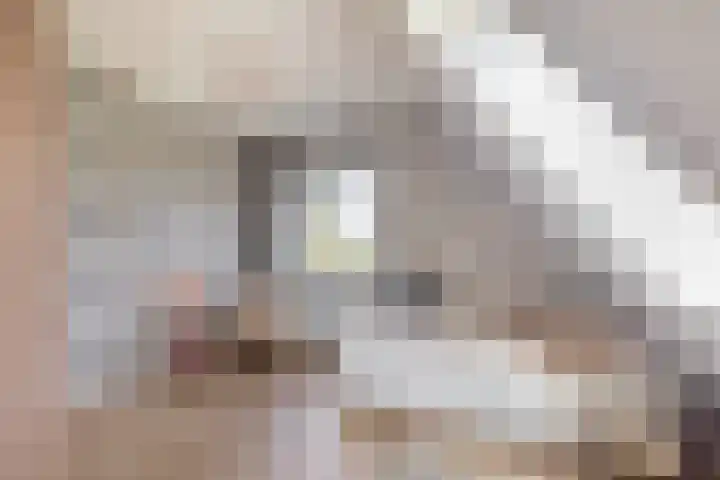 Tweede Bloksweg 38 G Waddinxveen thumbnail 45