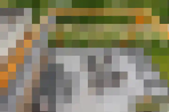 Tweede Bloksweg 38 G Waddinxveen thumbnail 50