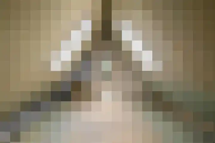 Tweede Bloksweg 38 G Waddinxveen thumbnail 53