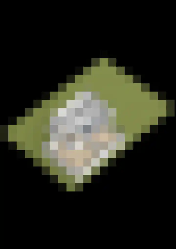 Tweede Bloksweg 38 G Waddinxveen thumbnail 63