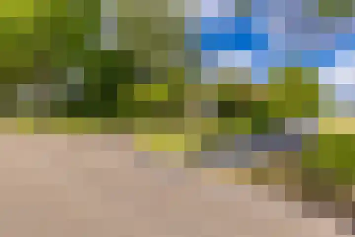 Tweede Boerendiep 7 Musselkanaal thumbnail 10
