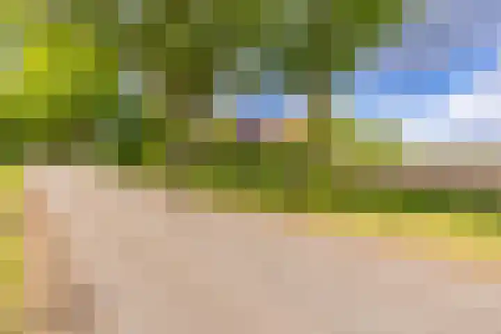 Tweede Boerendiep 7 Musselkanaal thumbnail 11