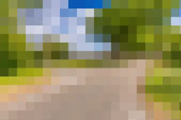 Tweede Boerendiep 7 Musselkanaal thumbnail 12