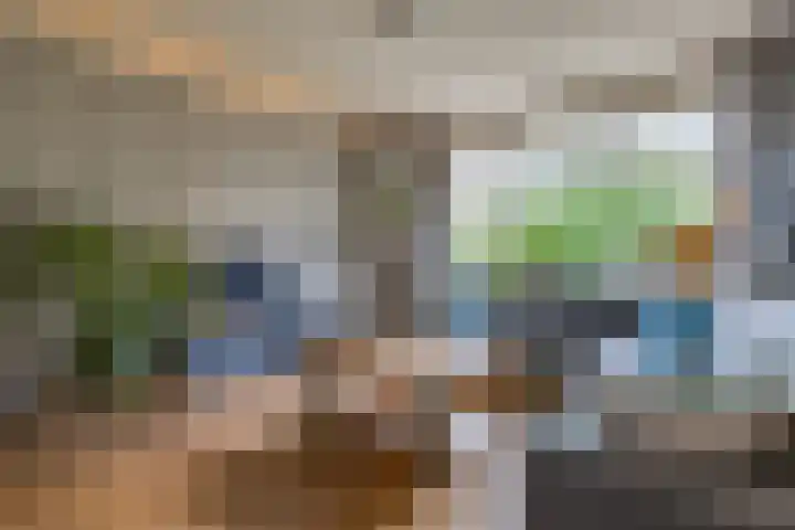Tweede Boerendiep 7 Musselkanaal thumbnail 15