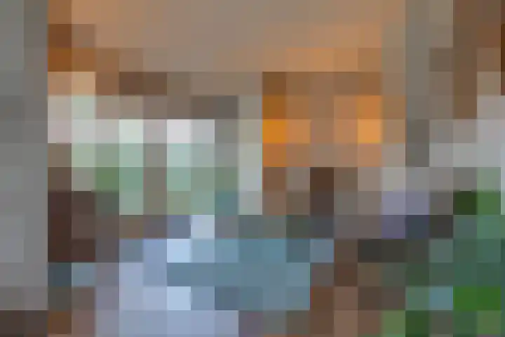 Tweede Boerendiep 7 Musselkanaal thumbnail 17