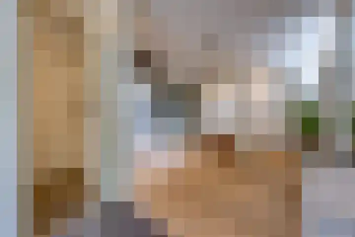 Tweede Boerendiep 7 Musselkanaal thumbnail 45