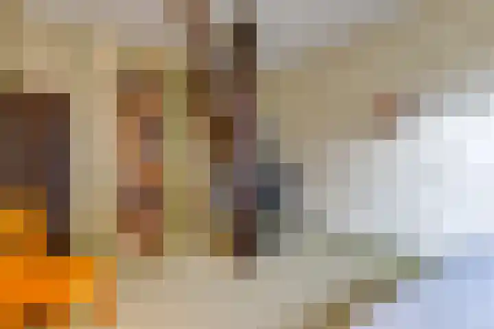 Tweede Boerendiep 7 Musselkanaal thumbnail 48