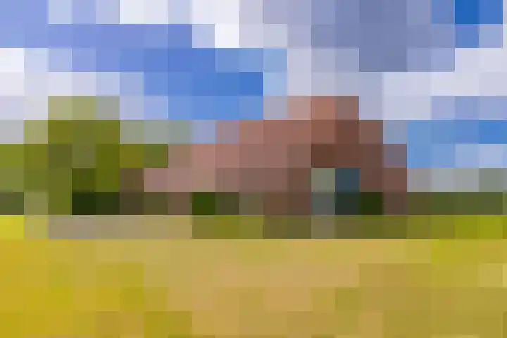 Tweede Boerendiep 7 Musselkanaal thumbnail 5