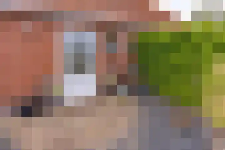 Tweede Boerendiep 7 Musselkanaal thumbnail 54