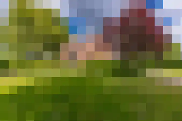 Tweede Boerendiep 7 Musselkanaal thumbnail 6