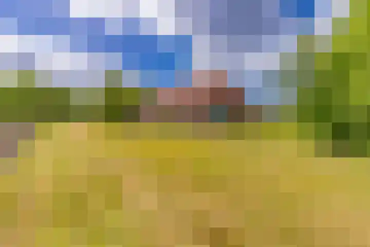 Tweede Boerendiep 7 Musselkanaal thumbnail 60