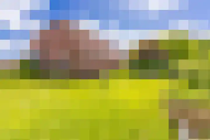 Tweede Boerendiep 7 Musselkanaal thumbnail 67