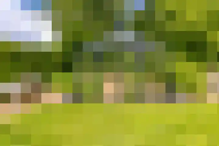 Tweede Boerendiep 7 Musselkanaal thumbnail 68
