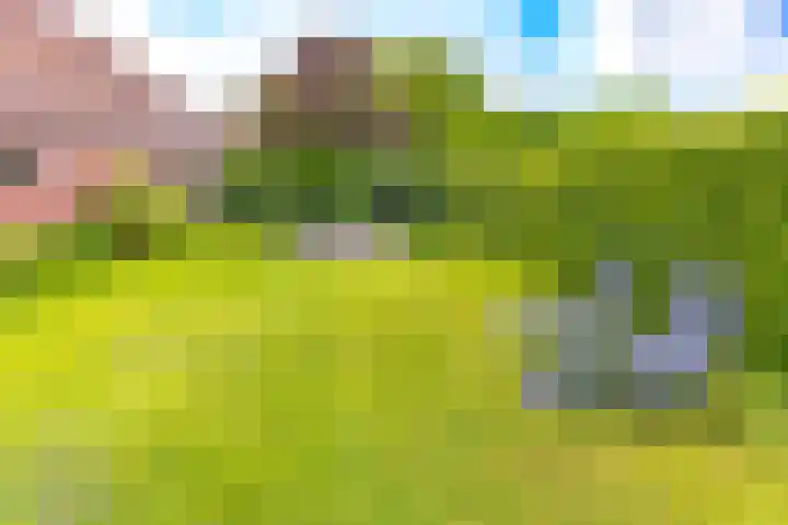 Tweede Boerendiep 7 Musselkanaal thumbnail 69