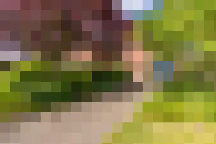 Tweede Boerendiep 7 Musselkanaal thumbnail 7