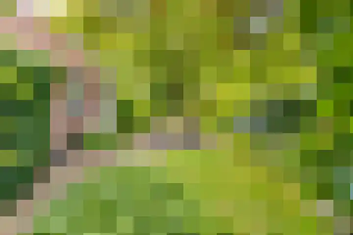 Tweede Boerendiep 7 Musselkanaal thumbnail 70