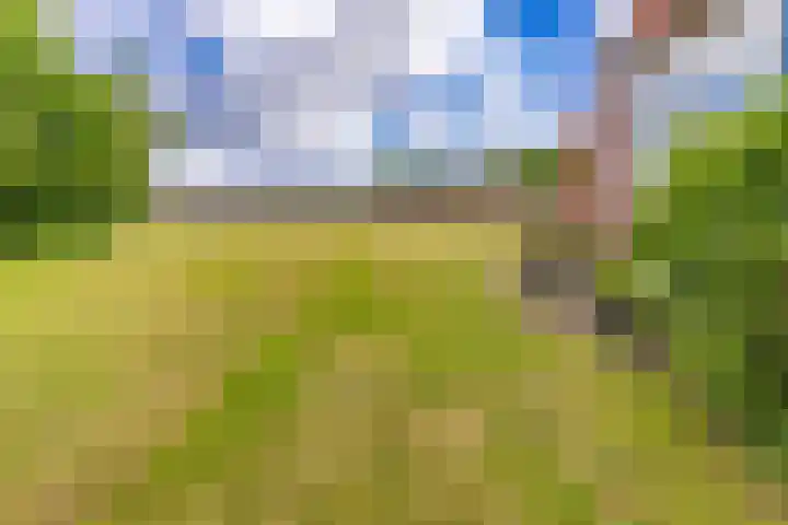 Tweede Boerendiep 7 Musselkanaal thumbnail 71