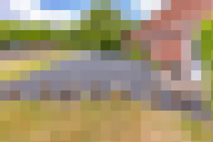 Tweede Boerendiep 7 Musselkanaal thumbnail 73