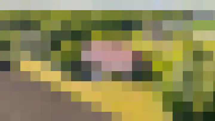 Tweede Boerendiep 7 Musselkanaal thumbnail 74