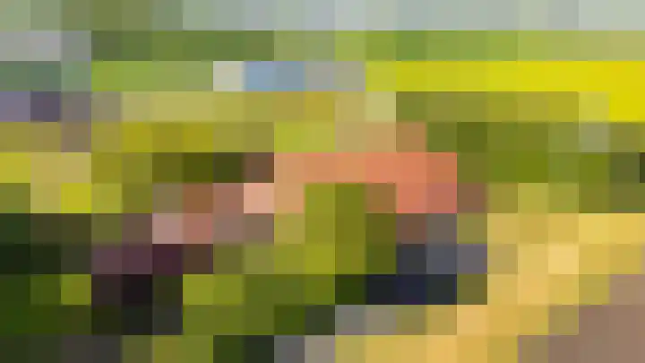 Tweede Boerendiep 7 Musselkanaal thumbnail 75