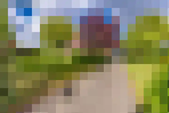 Tweede Boerendiep 7 Musselkanaal thumbnail 9