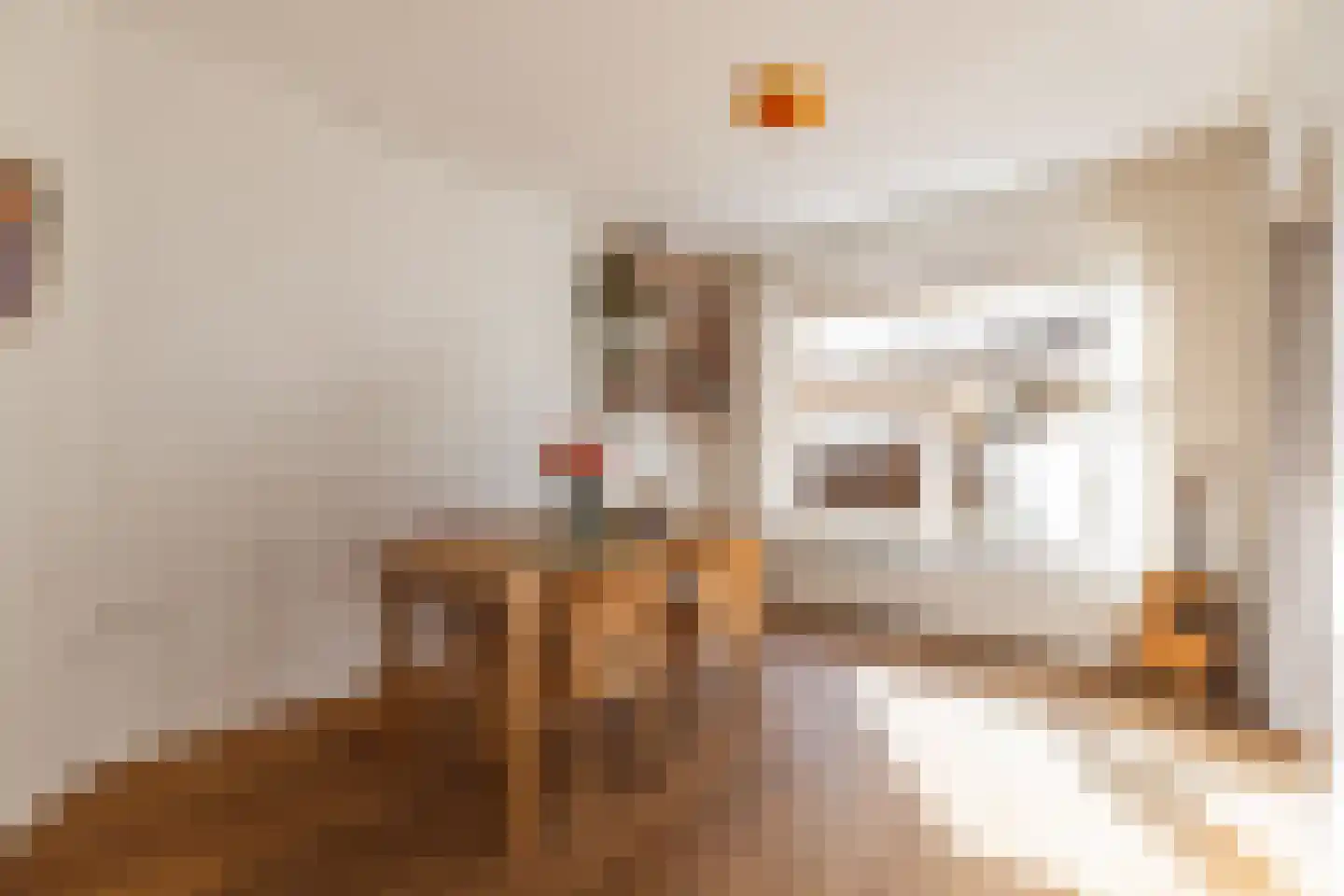Tweede Boerhaavestraat 13 B Amsterdam thumbnail 13