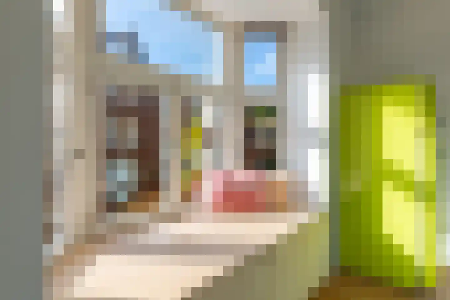 Tweede Boerhaavestraat 13 B Amsterdam thumbnail 20