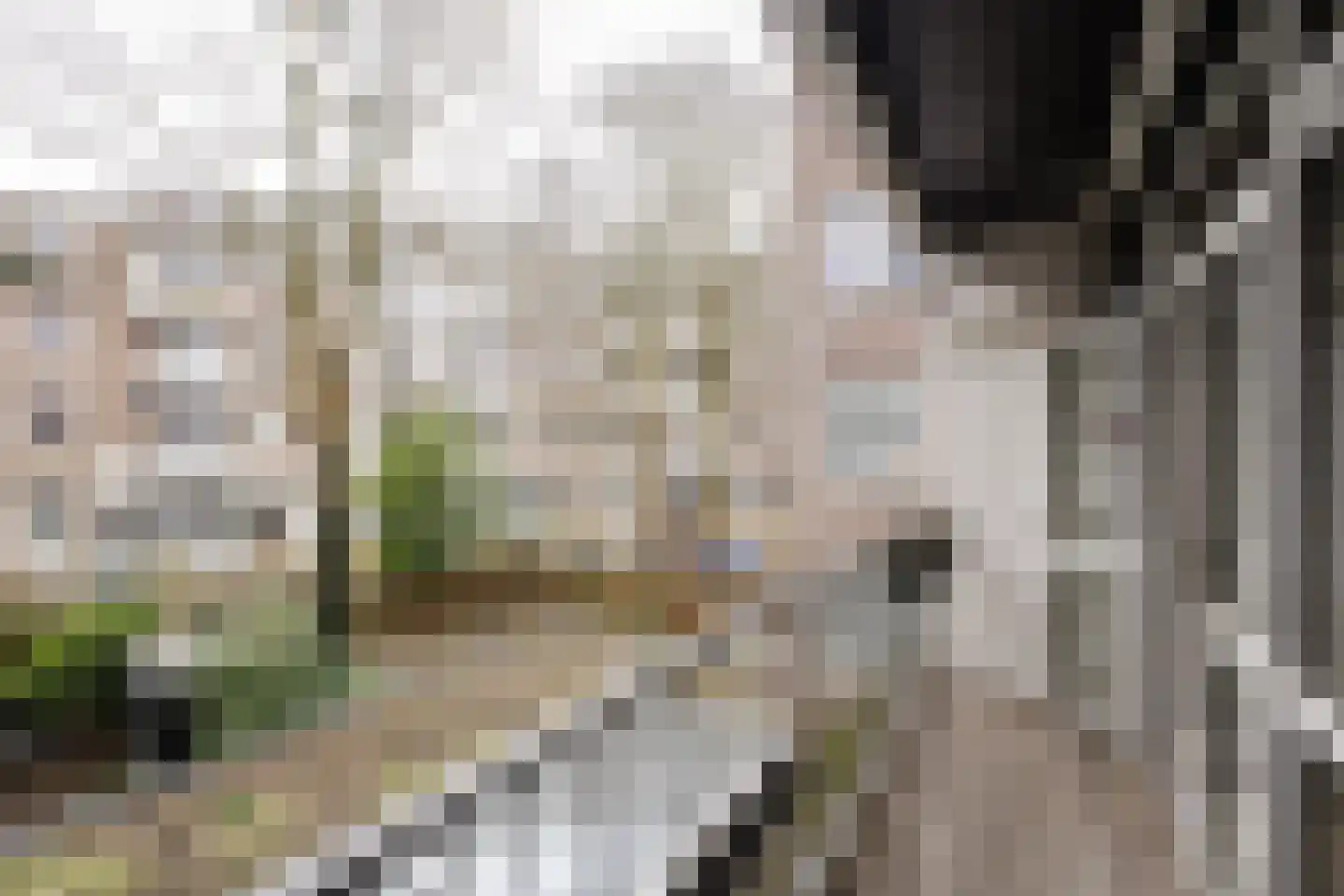 Tweede Boerhaavestraat 70 1 Amsterdam thumbnail 11
