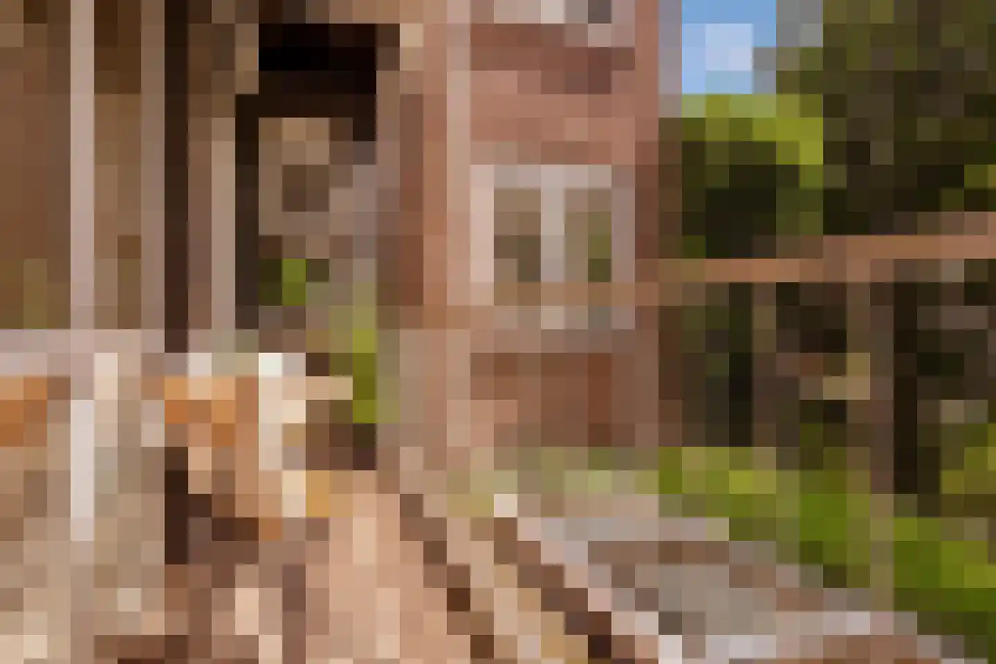 Tweede Boerhaavestraat 70 1 Amsterdam thumbnail 21
