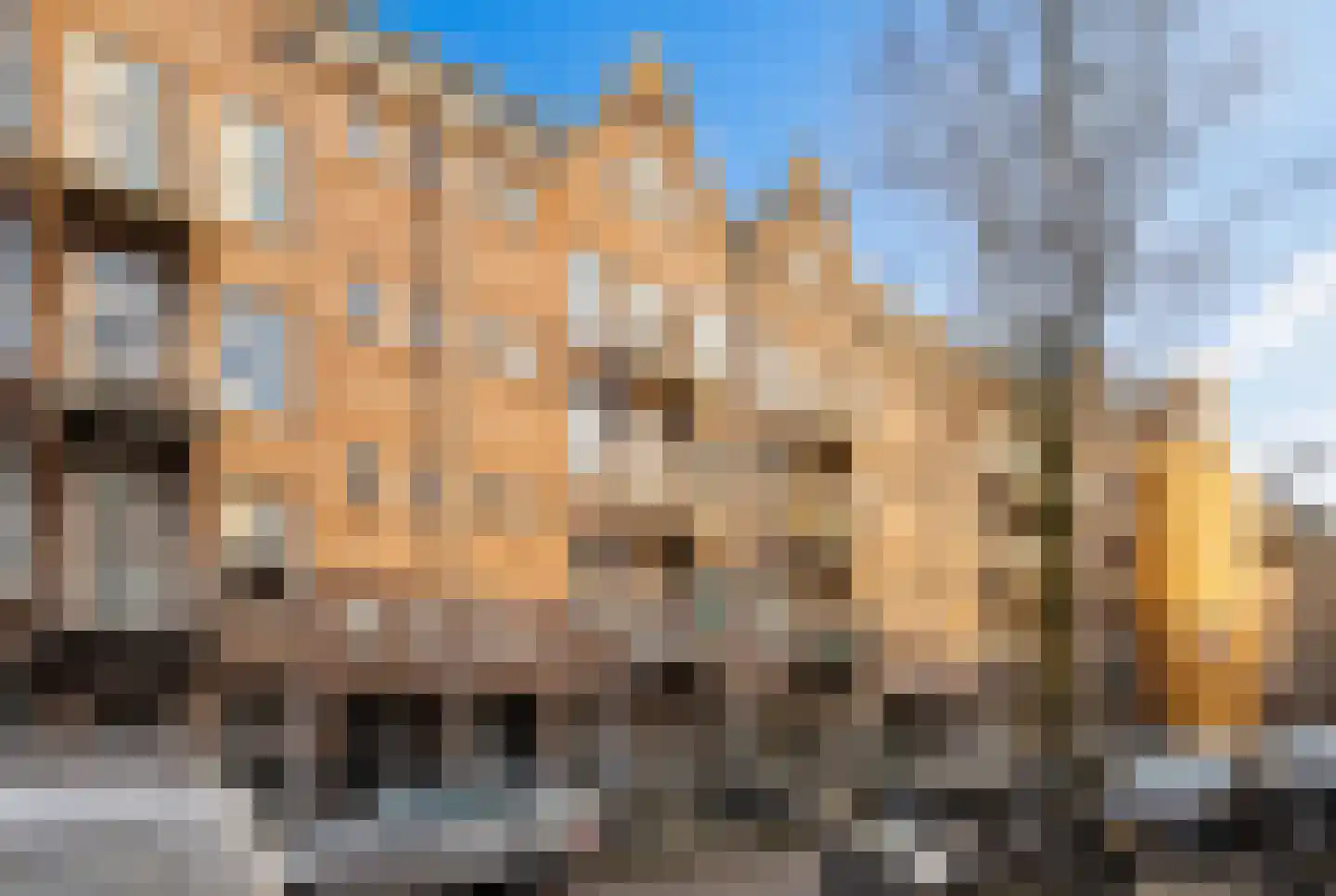 Tweede Boerhaavestraat 70 1 Amsterdam thumbnail 30