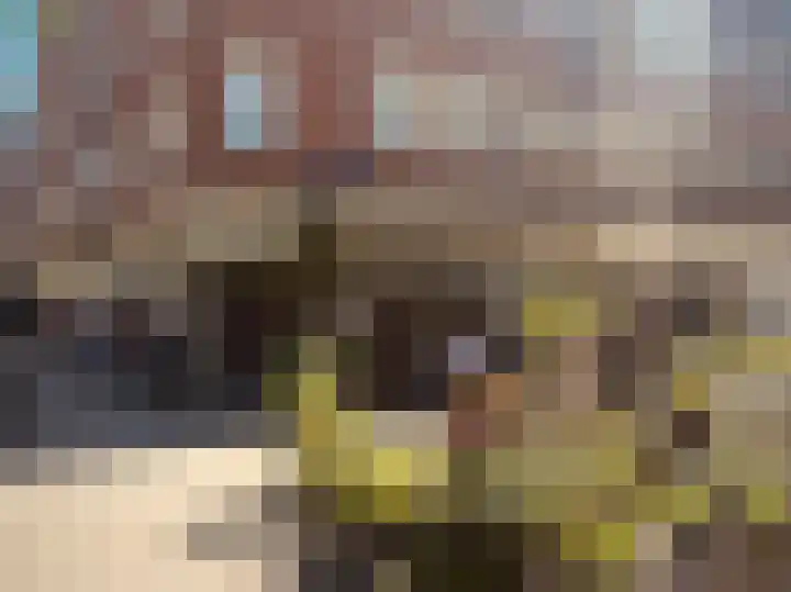 Tweede Boerhaavestraat 70 1 Amsterdam thumbnail 42