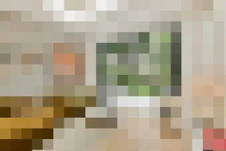Tweede Boerhaavestraat 70 1 Amsterdam thumbnail 5