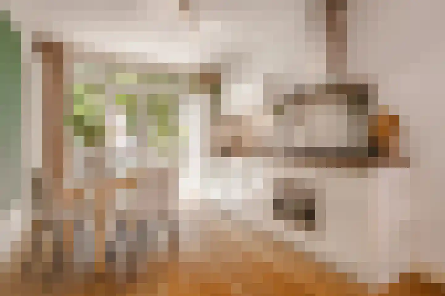 Tweede Boerhaavestraat 70 1 Amsterdam thumbnail 7