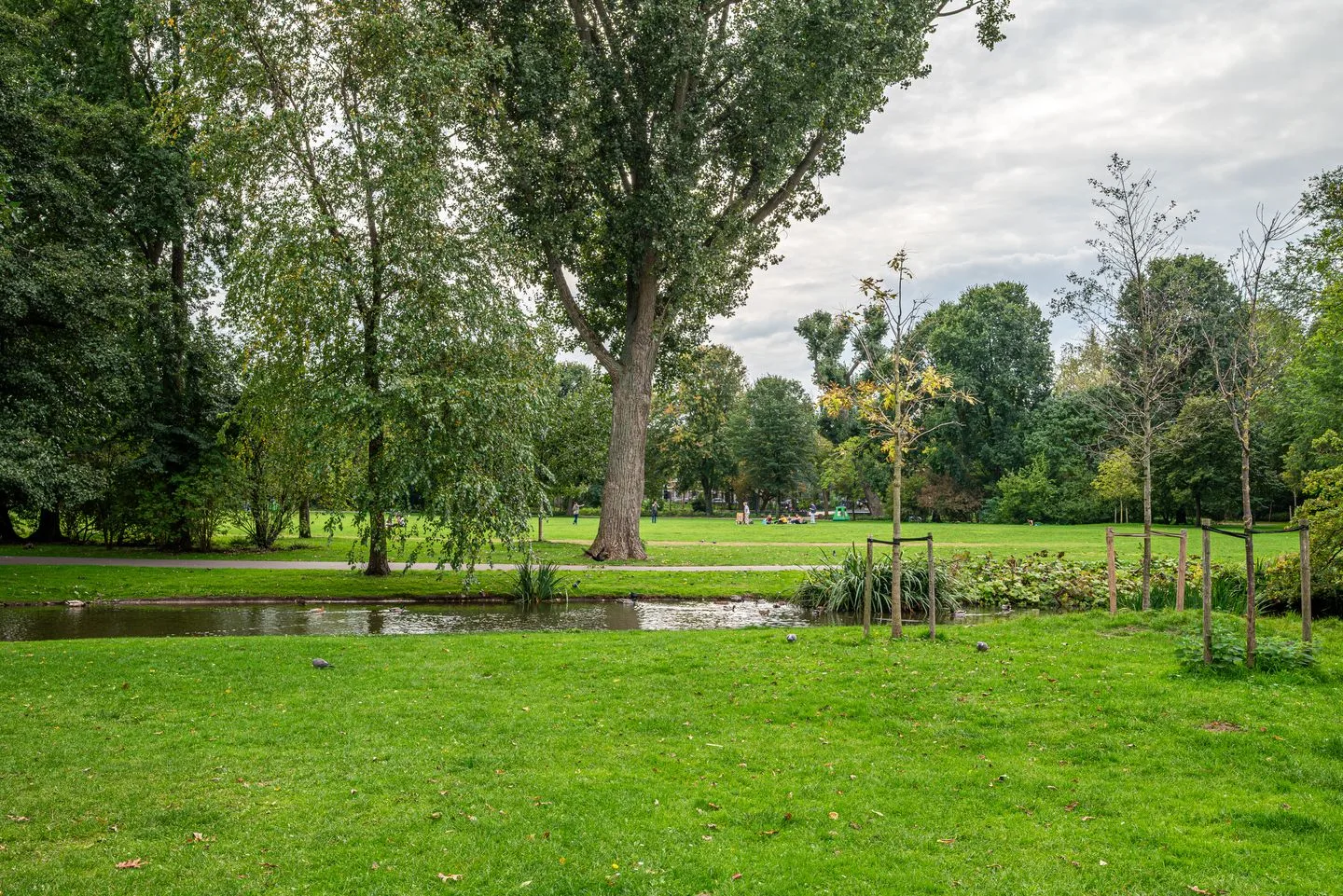 Tweede Boerhaavestraat 78 H Amsterdam thumbnail 54